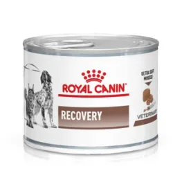Royal Canin Recovery (мусс) для собак для кошек