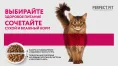 Perfect Fit для стерилизованных котов и кошек (Паштет с говядиной)