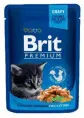 Brit Premium Cat Pouches Chicken Chunks for Kitten для кошек