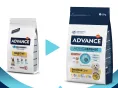 Advance Dog Mini Sensitive (Лосось), 700 г