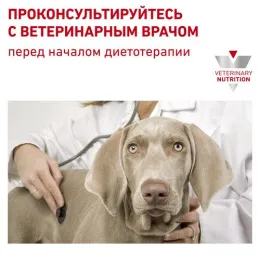 Royal Canin Early Renal Dog (в соусе) для собак