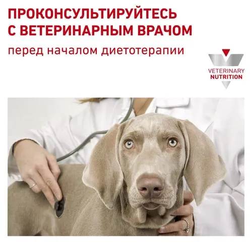 Royal Canin Early Renal Dog (в соусе) для собак
