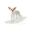 Grumer Dog S Long Hair для собак