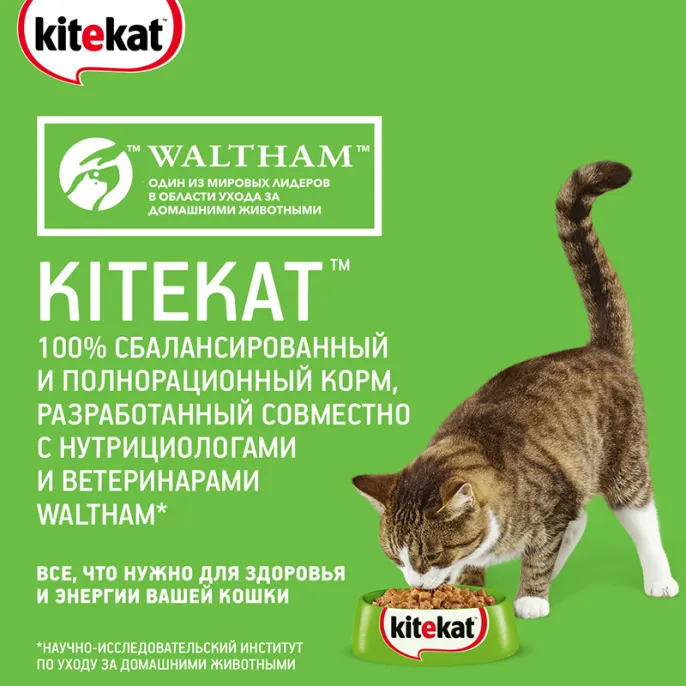 Kitekat с ягненком (кусочки в соусе) для кошек