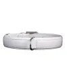 Collar Brilliance без украшений White для собак