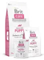 Brit Care GF Puppy (Лосось с картофелем), 12 кг