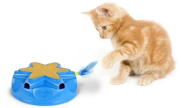 StarMark Игрушка "Catty Whack" для кошек