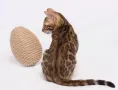 Petsiki Когтеточка динамическая яйцо, песочный для кошек