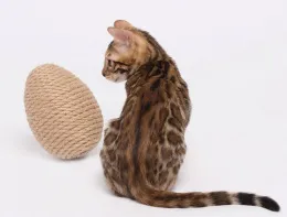 Petsiki Когтеточка динамическая яйцо, песочный для кошек