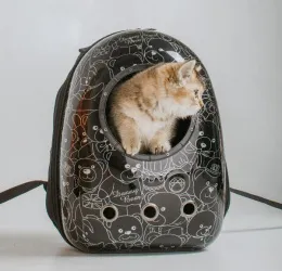 Catsy Рюкзак-переноска "Атлантис" (чёрный Teddy) для собак для кошек