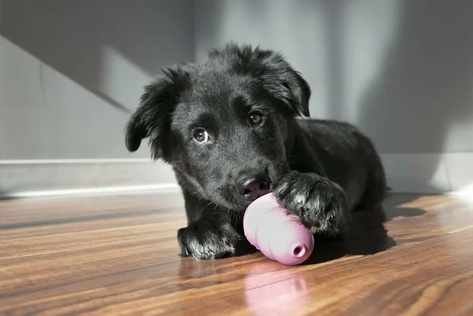 KONG Игрушка Puppy для собак
