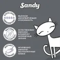 Sandy Active Carbon для кошек