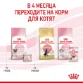 Royal Canin Mother & Babycat (мусс) для кошек