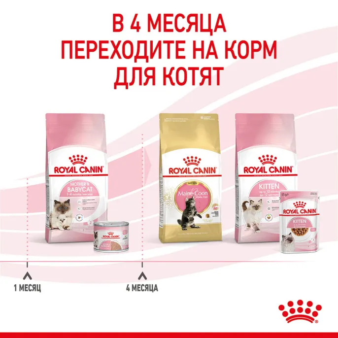 Royal Canin Mother & Babycat (мусс) для кошек