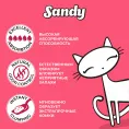 Sandy Baby Powder для кошек
