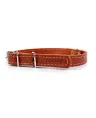 Collar одинарный составной Brown для собак