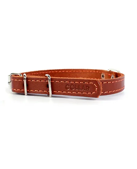 Collar одинарный составной Brown для собак
