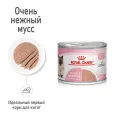 Royal Canin Mother & Babycat (мусс) для кошек
