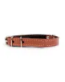 Collar с синтепоном Brown для собак