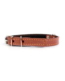 Collar с синтепоном Brown для собак