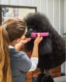 Wahl Машинка для стрижки Creativa + сумка для собак для кошек