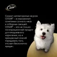Cesar для взрослых собак (Жаркое с уткой)