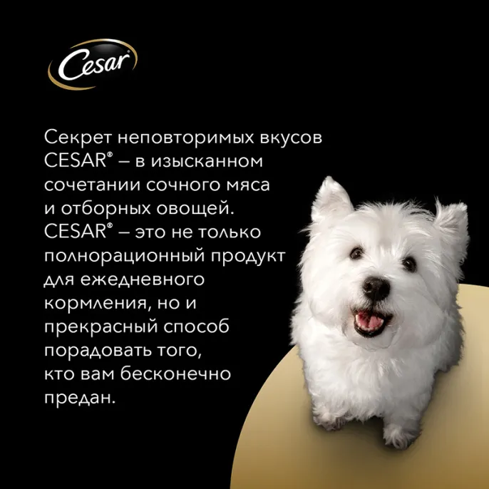 Cesar для взрослых собак (Жаркое с уткой)