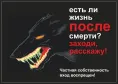 Информационная табличка 1, 216х154 мм для собак