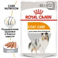 Royal Canin Coat Care Adult Dog для собак
