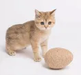Petsiki Когтеточка динамическая яйцо, песочный для кошек