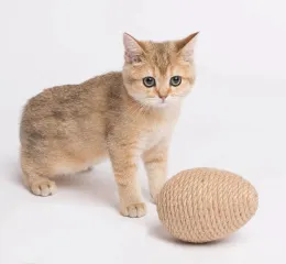 Petsiki Когтеточка динамическая яйцо, песочный для кошек