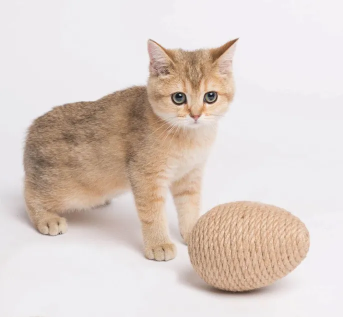 Petsiki Когтеточка динамическая яйцо, песочный для кошек