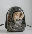 Catsy Рюкзак-переноска "Атлантис" (чёрный Teddy) для собак для кошек