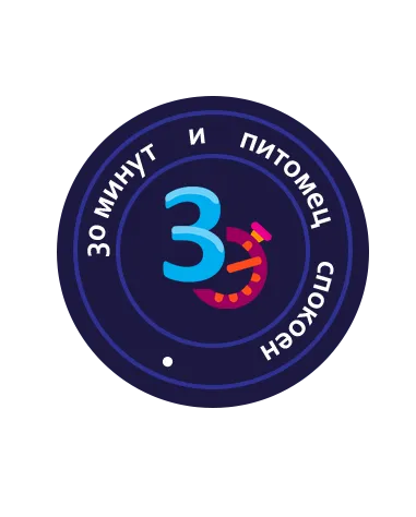 Астрафарм Экспресс Успокоин для кошек препараты для питомцев