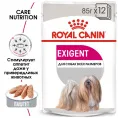 Royal Canin Exigent Adult для собак