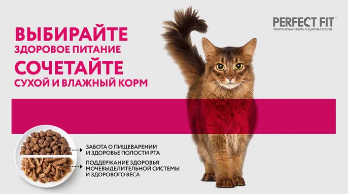 Perfect Fit для стерилизованных котов и кошек (Курица в соусе)