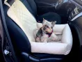 elCruche Лежанка Premium для перевозки животных в авто для собак