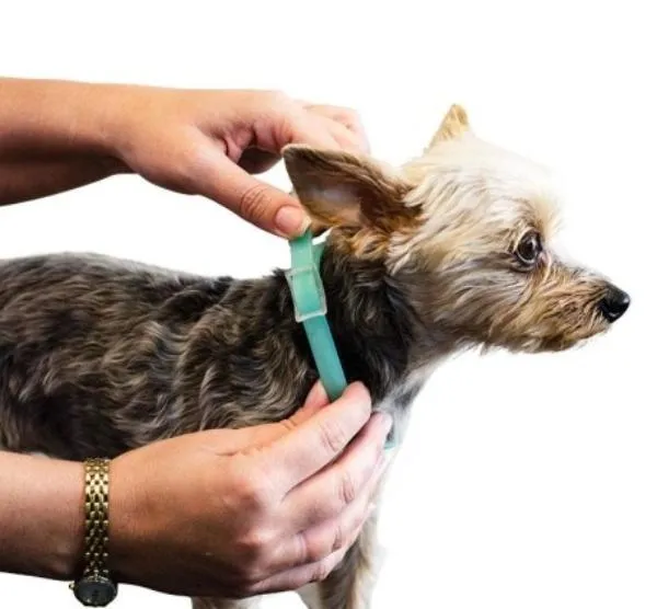 SENTRY Ошейник Calming Collar для собак