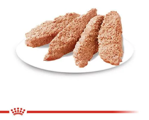 Royal Canin Dermacomfort Canine Adult (паштет) для собак